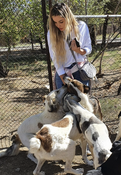 Diana with rescue dogs at the ranch
